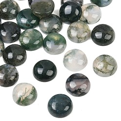Half Round Природные моховой агат кабошонов, полукруглый, 12~12.5x4.5~5 мм