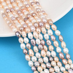 Mixed Color Three Color Natural Cultured Freshwater Pearl Beads Strands, Rice, Grade 3A, Mixed Color, 5~6mm, Hole: 0.5mm, about 51~52pcs/strand, 13.78''(35cm)