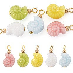 Mixed Color 5Pcs Glazed Nautilus Seashell Shape Porcelain Pendants, Ceramic Charms with Golden Iron Loops, Mixed Color, 23.3x12mm, Hole: 2.8mm