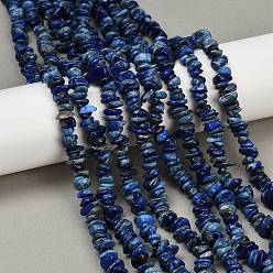 Ляпис-Лазурь Нитки бусины из натурального ляписа-лазури, чип, 2~7x5~17x5~6 мм, отверстие : 0.9 мм, 30.71~31.50'' (78~80 см)