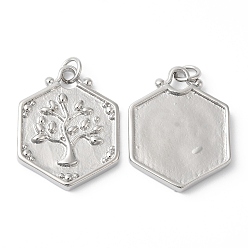 Платина Экологически чистые подвески из латуни с гальванопокрытием, с целью перехода в кольце, долговечный, без свинца и без кадмия, шестиугольник с древом жизни, платина, 23x18x2.5 мм, отверстие : 3.5 мм