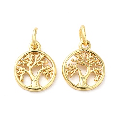 Золотой Латунь прелести, без кадмия и без свинца, с целью перехода в кольце, древо жизни очарование, золотые, 12.5x10x1.5 мм, отверстие : 3.5 мм