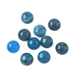 Апатит Натуральный апатит кабошоны, полукруглые / купольные, 9.5~10.5x4.5~5.5 мм