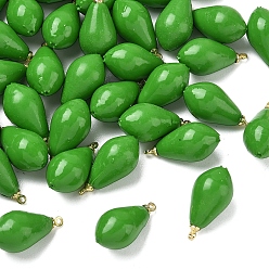 Pear Подвески из непрозрачной смолы с изображением фруктов, с золотой латунной петлей, груша, 20x10 мм, отверстие : 1.4 мм