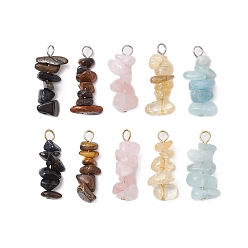 Дева 10 шт. 5 цвета 12 подвески из натурального аквамарина, цитрина, розового кварца, тигрового глаза и окрашенного синего тигрового глаза, брелоки-чипы с 304 петлями из нержавеющей стали, золотые и нержавеющая сталь цвет, Дева, 22~24x8~10x7~9 мм, отверстие : 2.5~3 мм, 2 шт / цвет