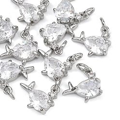 Real Platinum Plated SHEGRACE Brass Micro Pave Clear Cubic Zirconia Charms, Cadmium Free & Nickel Free & Lead Free, Fish Charms, Real Platinum Plated, 9.5x11x4mm, Hole: 2mm