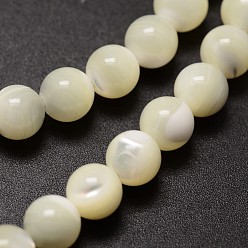 Creamy White Natural Sea Shell Beads Strands, Round, Creamy White, 6mm, Hole: 1mm, about 68pcs/strand, 15.75 inch