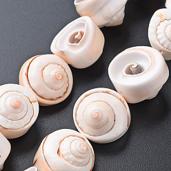 Antique White Natural Spiral Shell Bead Strands, Antique White, 15~18x8~15mm, Hole: 0.8mm, about 11pcs/strand, 7.09 inch(18cm)