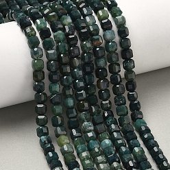 Мосс Агат Природные моховой агат бисер нитей, граненый стол, вырезанный куб, 5.5~6x5.5~6x5~5.5 мм, отверстие : 1 мм, около 73 шт / нитка, 14.96'' (38 см)