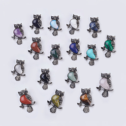 Смешанные камни Кулон из натуральных и синтетических камней, со сплавочной фурнитурой, и горный хрусталь, сова, 50x35x7.5~9 мм, отверстие : 5x8 мм