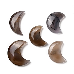 Dendritic Agate Natural Dendritic Agate Cabochons, Moon, 52~60x37~45.5x11~13mm