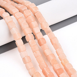 Другие Нефриты Нити бусин из натурального красного нефрита, кубические, 6~6.5x6~6.5x6~6.5 мм, отверстие : 0.9~1 мм, около 57~63 шт / нитка, 14.53~15.35'' (36.9~39 см)