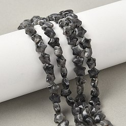 Larvikite Натуральные бусины-звездочки из ларвикита, 7.5x8x4.5 мм, отверстие : 0.8 мм, около 54~56 шт / нитка, 15.12''~15.20'' (38.4~38.6 см)