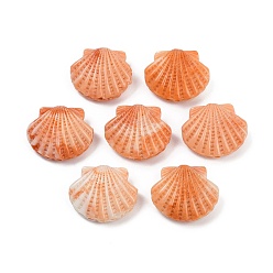 Легкий Лосось Резные бусины из синтетического коралла, окрашенные, формы раковины, светлый померанцевый, 20x23.5x9.5 мм, отверстие : 1.6 мм
