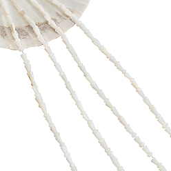 Пресноводная Раковина 4 нити из натуральных пресноводных бусин из ракушек, гриб, 7.5x4 мм, отверстие : 0.9 мм, около 51 шт / нитка, 15.35 дюйм (39 см)