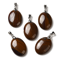 Тигровое Железо Природные тигр железа подвески, овальные подвески со стойкой, латунные кнопки с платиновым покрытием, защелки на дужках, 30x21.5~22x6~6.5 мм, отверстие : 6x4 мм