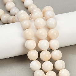 Белый Нефрит Бусины из натурального белого нефрита, круглые, 12~12.5 мм, отверстие : 1.2 мм, около 32~34 шт / нитка, 15.55~15.75'' (39.5~40 см)
