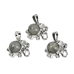 Лабрадорита Природные подвески лабрадорита, подвески в виде слона из латуни с покрытием из стразов, платина, без кадмия и без свинца, 17.5x20.5x8 мм, отверстие : 5x8 мм