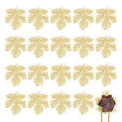 Golden Brass Cabochons, Maple Leaf, Golden, 33x30x1mm