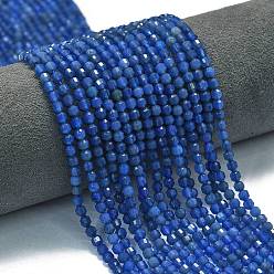 Blue Agate Нити бусин из натурального голубого агата (окрашенного и нагретого), энергетическая призматическая огранка с двойными концами бусины, граненые двухконусные, 4x4.5 мм, отверстие : 0.4 мм, около 83 шт / нитка, 14.96'' (38 см)