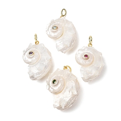 Golden Natural Couch Shell Pendants, Conch Charm, with Brass Micro Pave Cubic Zirconia Jewlery, Golden, 38.5~42x29.5~38.5x23.5~26mm, Hole: 3.5x5.5mm