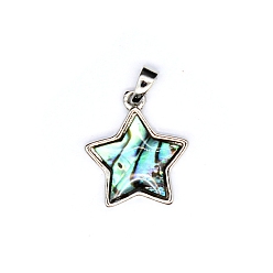 Платина Природные подвески оболочки, звезда, платина, 17x15x4 мм