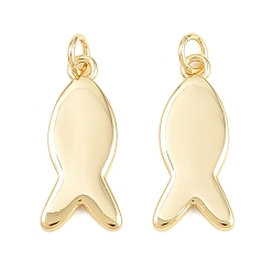 Real 18K Gold Plated Brass Pendants, Cadmium Free & Lead Free, Long-Lasting Plated, Rack Plating, Fish Charms, Real 18K Gold Plated, 22x10x2mm, Hole: 3mm