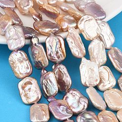 Chardon Colliers de perles baroques naturelles keshi, culture des perles perles d'eau douce, rectangle, note 5a+, chardon, 18x13mm, Trou: 0.5mm, Environ 20~21 pcs/chapelet, 14.57''~14.96'' (37~38 cm)