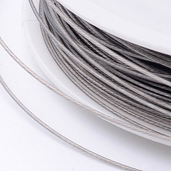 Raw Original Color(Raw) Tail Wire, Nylon-coated Stainless Steel, Raw, 0.6mm, about 72.17 Feet(22m)/roll