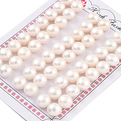 Белый Сорт 6бусины из натурального культивированного пресноводного жемчуга, половине просверлил, полукруглые бусины, белые, 10~10.5x7 мм, отверстие : 1 мм