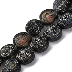 Черный Стеклянные бусины с гальваническим покрытием , с половиным покрытием цвета радуги, улитка, чёрные, 12.5x11.5x4.5 мм, отверстие : 1 мм, около 50 шт / нитка, 24.41 дюйм (62 см)