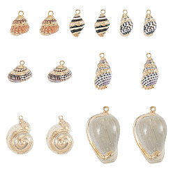 Golden 14Pcs 7 Styles Electroplated Natural Mixed Shell Pendants, Shell Shape Charms, with Brass Findings, Golden, Golden, 13~32x8.5~18x7~16mm, Hole: 1.4~1.8mm, 2pcs/style