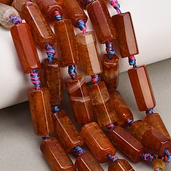 Chocolat Chapelets de perles en agate veines de dragon naturelles , teints et chauffée, colonne facettes, chocolat, 18.5~23x9.5~10.5x10.5~11mm, Trou: 3mm, Environ 14 pcs/chapelet, 16.14~16.34'' (41~41.5 cm)