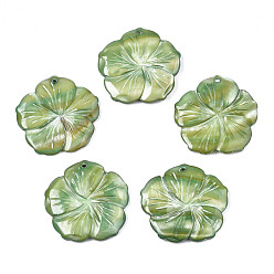 Dark Sea Green Natural Freshwater Shell Pendants, Dyed, Flower, Dark Sea Green, 38~39x39~40x4~5mm, Hole: 2mm