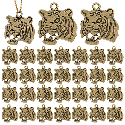 Antique Bronze Tibetan Style Alloy Pendanrs, Tiger Charms, Antique Bronze, 26x24x1.5mm, Hole: 2.5mm