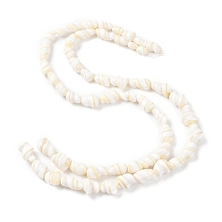 Seashell Color Natural Shell Beads Strands, Conch, Seashell Color, 9~22x5~13mm, Hole: 0.8mm, about 27~28pcs/strand, 15.47''(39.3~39.5cm)