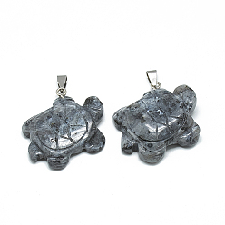 Лабрадорита Природные подвески лабрадорита, с защелкой из нержавеющей стали на поручнях, черепаха, 41~43x35~37x7~10 мм, отверстие : 6x4 мм