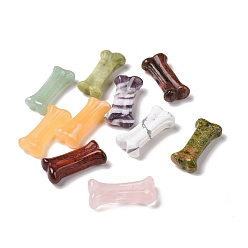 Смешанные камни Скульптуры в форме кости собаки из натуральных смешанных драгоценных камней, Энергетический камень рейки для любителей собак, украшение домашнего дисплея, 14~15x31~32x6.5~8 мм