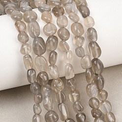 Grey Moonstone Natural Grey Moonstone Beads Strands, Nuggets, Tumbled Stone, 6~12x6~7x3.5~6mm, Hole: 0.8mm, about 56pcs/strand, 15.35~15.55''(39~39.5cm)
