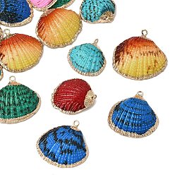 Mixed Color Brass & Spray Painted Natural Shell Pendants, Shell Shape Charms, with Golden Plated Edge, Mixed Color, 23~25x21~29.5x5~7mm, Hole: 1.6mm