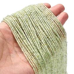 Пренит Природные пренит нитей бисера, граненые круглые, 2.5 мм, отверстие : 0.5 мм, около 178~179 шт / нитка, 15.20~15.28'' (38.6~38.8 см)