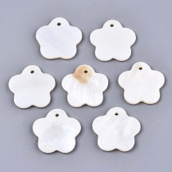 Seashell Color Natural Freshwater Shell Charms, Flower, Seashell Color, 19x19.5x2mm, Hole: 1.6mm