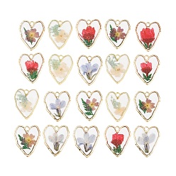 Сердце Подвески из эпоксидной смолы, внутренние подвески из сушеных цветов, золотые, разноцветные, сердце, 34.5x28.5x2 мм, отверстие : 3.5 мм