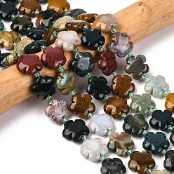 Океанический Джаспер Бусины из натуральной морской яшмы / океанского агата, 5-лепестков цветка, 14~15x14~15x6~7 мм, отверстие : 1.2 мм, около 27 шт / нитка, 16.14'' (41~44.5 см)