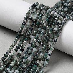Мосс Агат Природные моховой агат бисер нитей, граненые, рондель, 3x2 мм, отверстие : 0.7 мм, около 169 шт / нитка, 15.16 дюйм (38.5 см)