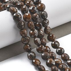 Бронзит Природные бронзитом бисер нитей, граненые, плоско-круглые, 6~7.5x4~5.5 мм, отверстие : 0.8~1 мм, около 56~70 шт / нитка, 15.31~16.10 дюйм (38.9~40.9 см)