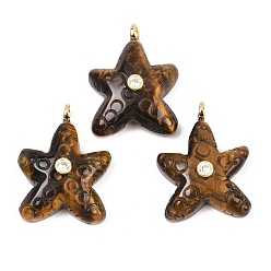 Тигровый глаз Природных тигровый глаз подвески, Подвески в виде морских звезд с латунными микрофибровыми вставками из прозрачного кубического циркония., 27~28.5x21~21.5x8.5~9 мм, отверстие : 3 мм