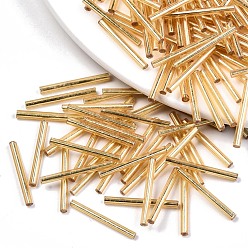 с Золотистым Покрытием Гальваническое стекло стеклярус, круглое отверстие, металлических цветов, с золотым покрытием, 25x2.5 мм, отверстия: 1 мм, около 1800 шт / мешок