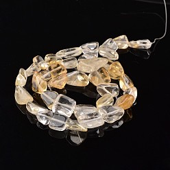 Citrine Nuggets Natural Citrine Bead Strands, 9~15x8~12x5~8mm, Hole: 1mm, about 15.7 inch