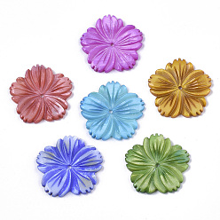 Couleur Mélangete Perles de coquillages naturels d'eau douce, sculpté, teint, fleur, couleur mixte, 28x28x3mm, Trou: 1.6mm
